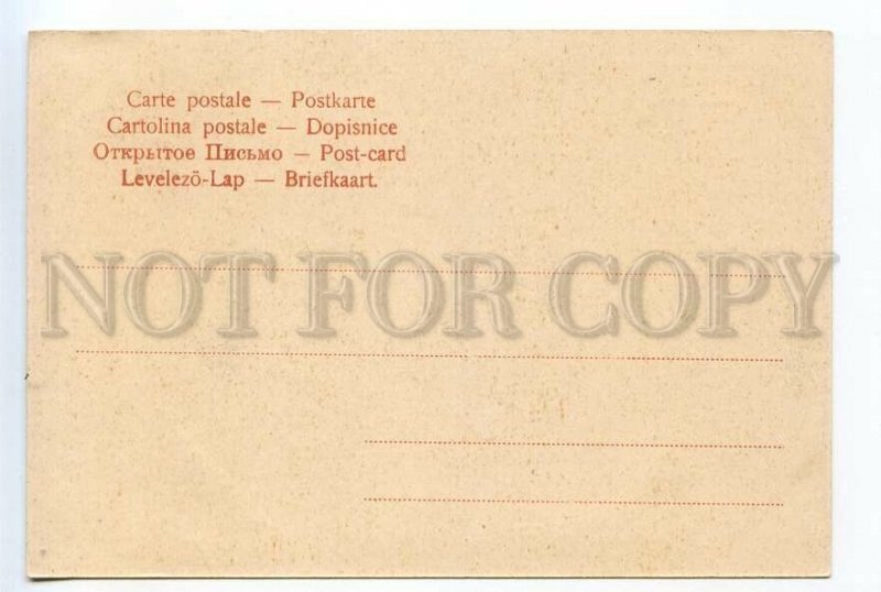 520462 Germany Leipzig university Vintage early postcard