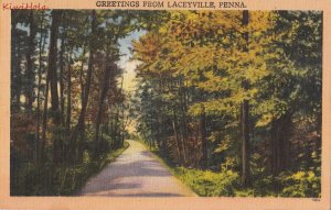 Postcard Greetings from Laceyville PA