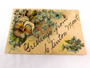 Circa 1900-10 Greetings From Clinton, Montana Mica Glitter Germany Postcard P29