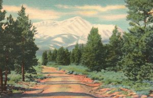 Vintage Postcard Mt. Elbert Sawatch Range Highest Peak Colorado Near Leadville