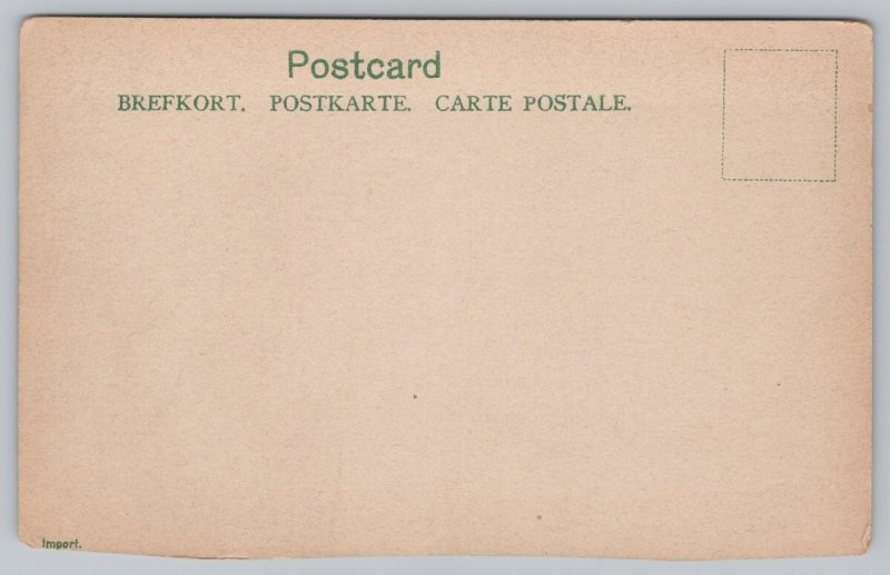 Postcard Söderfors Sweden Church Trees River Reflection 1900s View