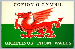 Postcard Wales UK c1980s Greetings from Wales Cofion O Gymru Red Dragon