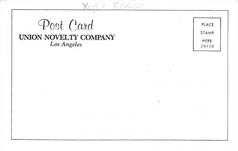 Yogi Berra Baseball Player View Postcard Backing 