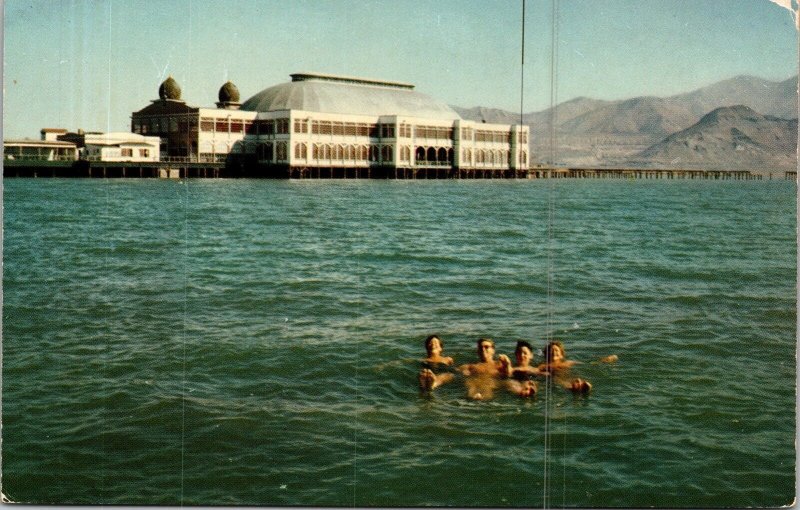 Saltair Bathers Great Salt Lake City UT Utah Mountains Postcard UNP VTG Mirro 