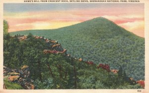 Hawk's Bill Crescent Rock Shenandoah Nat'l Park Virginia Vintage Postcard