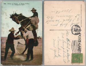 RIDING AN OUTLAW A DARING COWBOY ANTIQUE POSTCARD