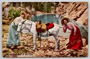 Donkey Ladies Using As Telephone On The Tail End Of The Line Postcard R27