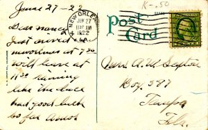 LA - New Orleans. Audubon Park Oaks