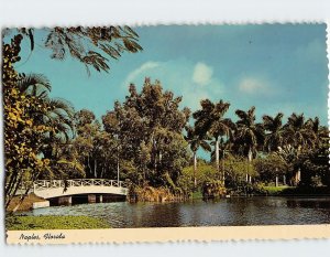 Postcard Lantern Lake Bridge at Port Royal Naples Florida USA