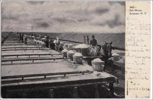 Salt Works, Syracuse NY