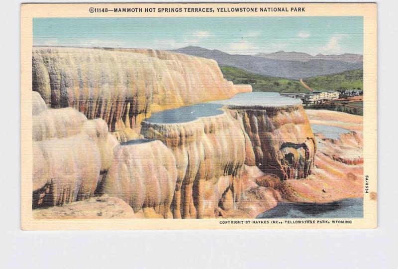 VINTAGE POSTCARD NATIONAL STATE PARK YELLOWSTONE MAMMOTH HOT SPRINGS TERRACES #8