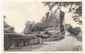 Ireland Ross Castle, Killarney. Used - Stamped with Pair of 2d Maps