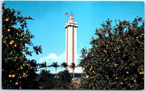 M-76619 Citrus Observation Tower Clermont Florida USA