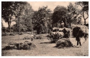 Connecticut Pomfret , down by the  Broon, Collecting Hay