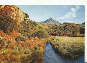 Wales Postcard - Cnicht - Caernarvonshire - Ref TZ10571