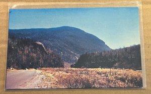 UNUSED POSTCARD - ELEPHANT'S HEAD, CRAWFORD NOTCH, WHITE MOUNTAINS, N.H.