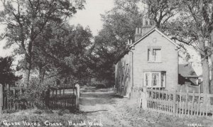 Goose Hayes Chase Harold Wood Romford Essex Postcard