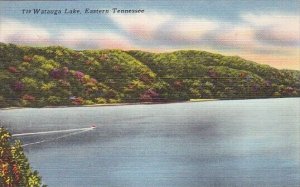 Watauga Lake Eastern Tennessee