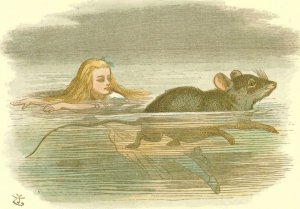 The Mouse Swimming Alice In Wonderland Victorian 1890 Book Postcard