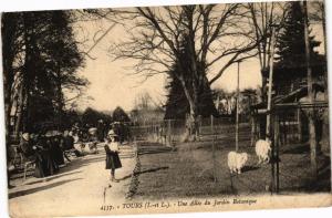 CPA TOURS-Une Allée du Jardin Botanique (266159)