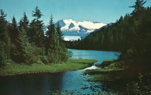 Vintage Postcard 1967 View of Mendenhall Glacier with Awk Lake Alaska
