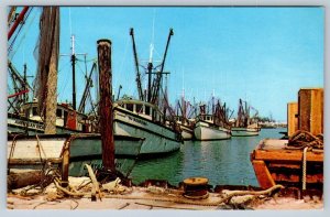 Shrimp Boats In Harbor, Key West, Florida FL, Vintage Chrome Postcard