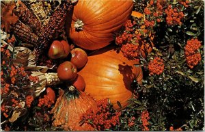 Hello Illinois Land Lincoln Fall Harvest Corn Mesa Pumpkins VTG Postcard UNP 