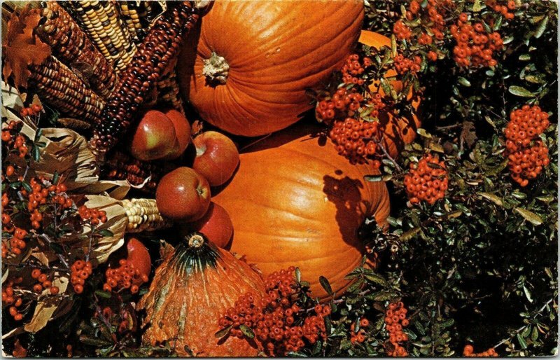 Hello Illinois Land Lincoln Fall Harvest Corn Mesa Pumpkins VTG Postcard UNP 