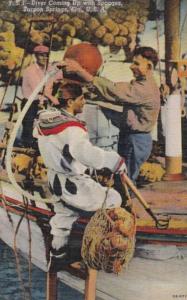 Florida Tarpon Springs Diver Comng Up With Sponges Curteich