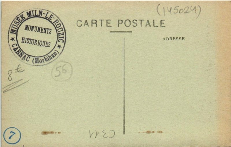 CPA CARNAC Vue du Sud (145024)