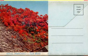 Folder - Florida, Key West & Overseas Highway       (12 Views)
