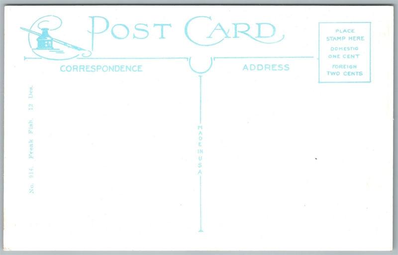 EXAGGERATED FISHING ANTIQUE POSTCARD FIRST ONE WE LANDED