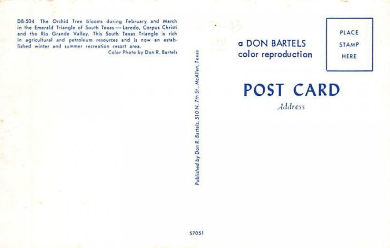 The Orchid Tree Postcard