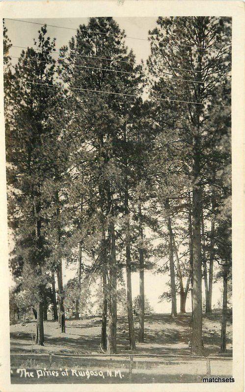 1920s Pines of Ruidoso New Mexico RPPC real photo postcard 11432