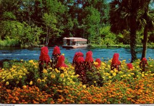 Florida Silver Springs Gardens Along The Silver River 1976