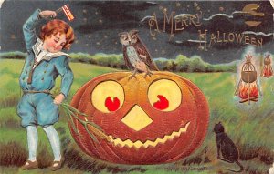 Pumpkin, Owl Halloween View Images