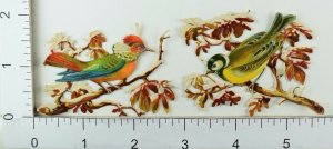 Lot of 6 Embossed Victorian Die-Cuts Wild-Birds In Trees Colorful Nice! F71