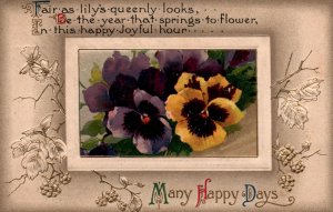 Many Happy Days Flowers