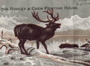 1870s Jno. A. Haddock The Rowley & Chew Printing House Stag Elk Buck Deer P146