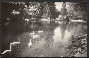 France Postcard - Luchon - Le Lac Des Quinconces  1889