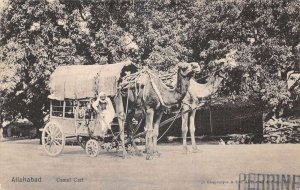 Allahabad Prayagraj India Camel Cart Wagon Vintage Postcard AA110008