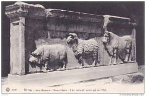 Roma, Foro Romanom Bassorilievo, I tre animali uccisi nei sacrifizi, Lazio, I...