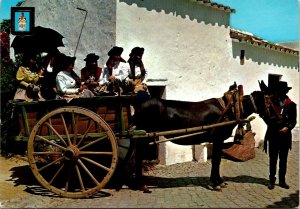 CONTINENTAL SIZE POSTCARD ALGARVE PORTUGAL HORSE CART SCENE