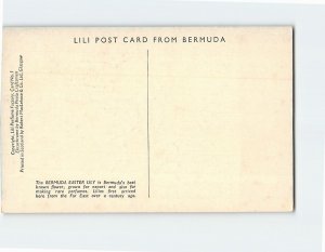 Postcard The Bermuda Easter Lily, Bermuda, British Overseas Territory