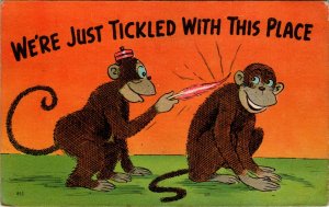 We're Just Tickled With This Place Monkeys Comic BIN