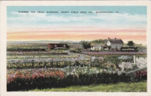 Iowa Shenandoah Number Ten Trial Gardens Henry Field Seed Company