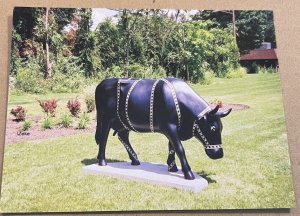 PC UNUSED - 2000 BLACK MOOORIAH COW, WEST ORANGE, N.J.  PRINTED FROM PHOTO