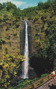 Hawaii Honolulu Akaka Falls