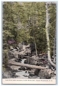 c1910's Lost River Near Entrance In White Mountains North Woodstock NH Postcard 