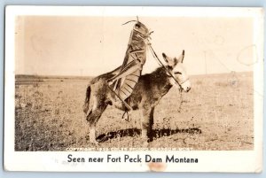 Fort Peck Dam Montana MT Postcard RPPC Photo Grasshopper Riding Mule c1940's
